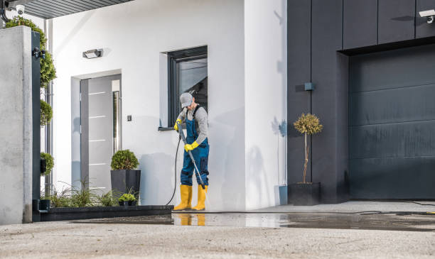 Best House Exterior Washing  in Port Republic, NJ